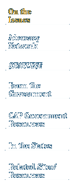 About CAP navigation