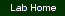 Go to the Lab's home page