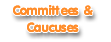 Committees & Caucuses