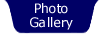 Photo Gallery
