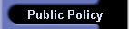 Public Policy