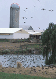 Photo Courtesy of USDA NRCS