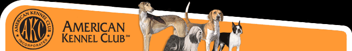 American Kennel Club