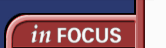 In Focus Section 