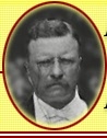 Theodore Roosevelt Photo