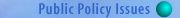 Public Policy Issues