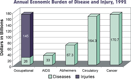 Annual Economic Burden of Disease and Injury 1992 graph