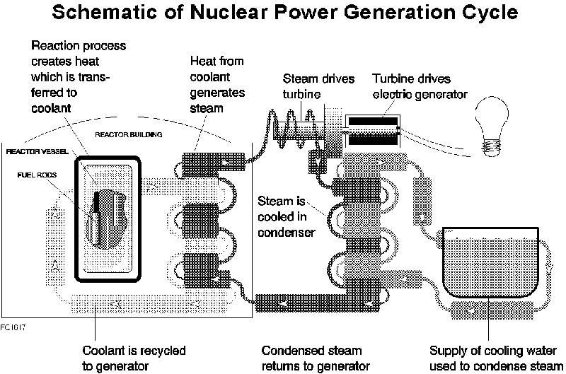 Nuclear Power Generation Cycle