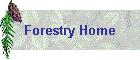 Forestry Home