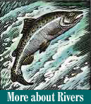 more about rivers