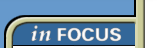 In Focus Section 