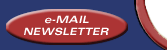 Email Newsletter 