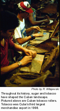 Workers at tobacco plant