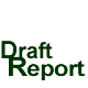 Draft Report