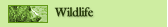Wildlife