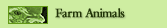 Farm Animals