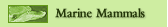 Marine Mammals
