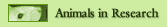 Animals in Research