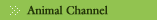 Experience Streaming Media