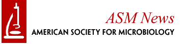 ASM News