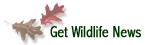 Get Wildlife News