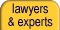 Lawyers and Experts