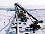 Arctic Power photo