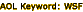 aol_keyword